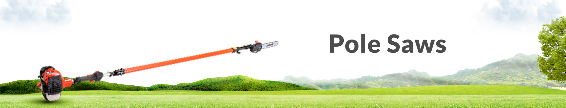 Pole Saws