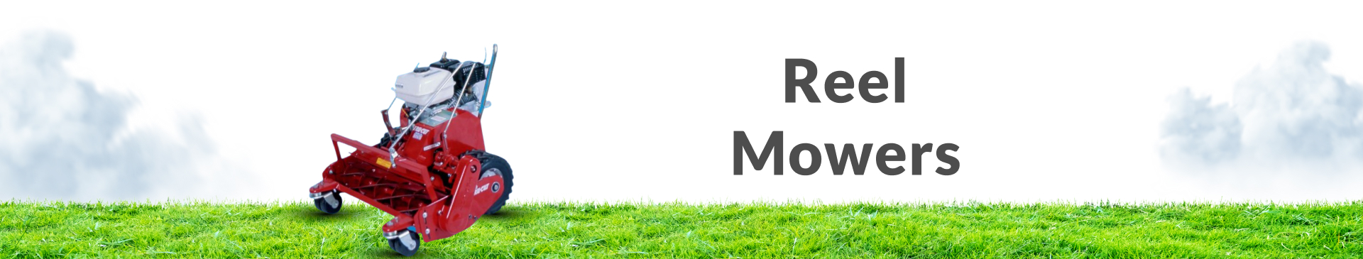 Reel Mowers